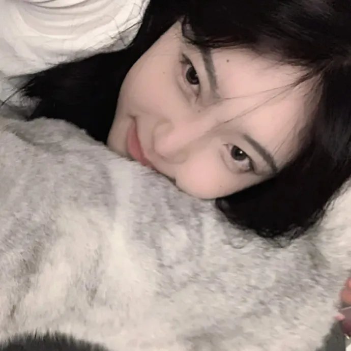 奶牛阴谋