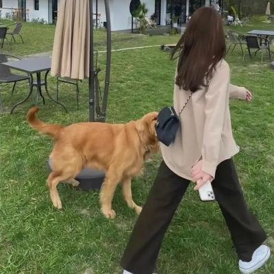 看我们如何跳舞